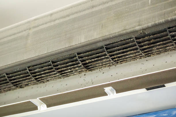 Best Affordable Air Duct Cleaning  in Cordova, AL